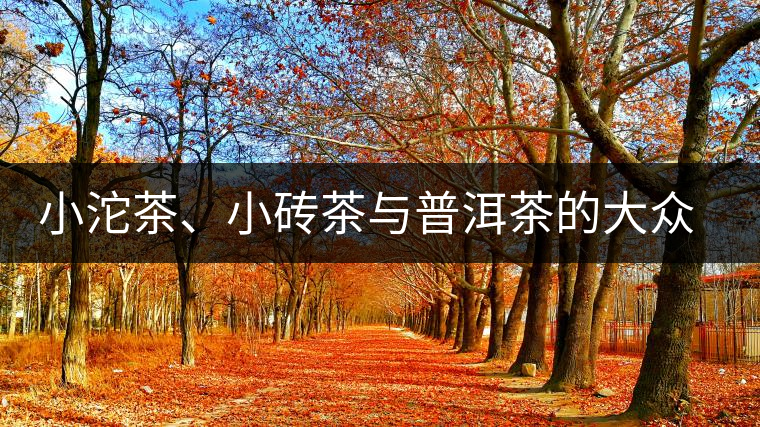 小沱茶、小磚茶與普洱茶的大眾化之路