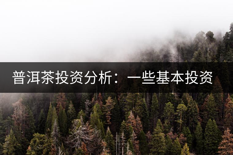普洱茶投資分析：一些基本投資原則