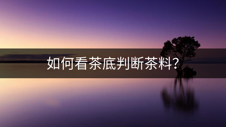如何看茶底判斷茶料？