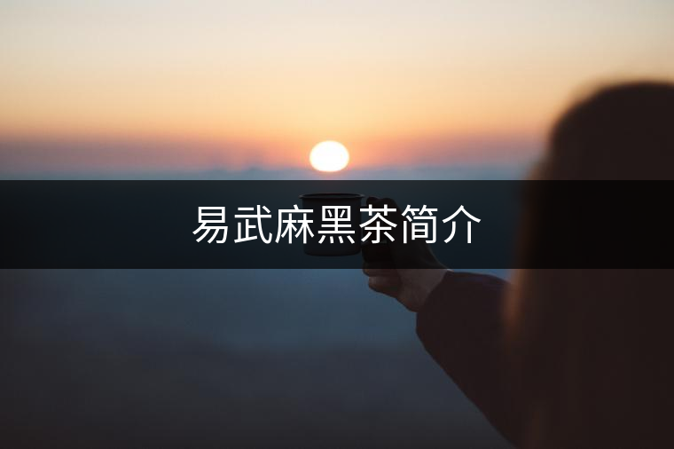 易武麻黑茶簡(jiǎn)介