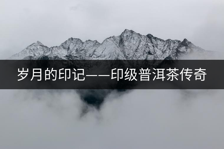 歲月的印記——印級(jí)普洱茶傳奇