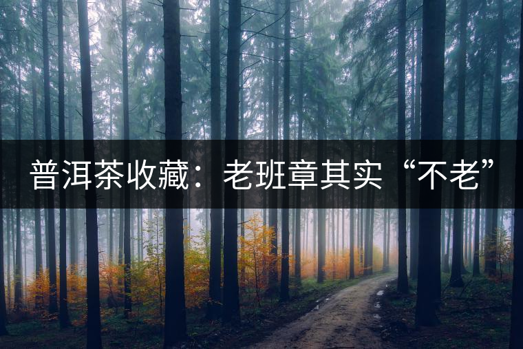 普洱茶收藏:老班章其實“不老” 普洱茶收藏:老班章其實“不老”