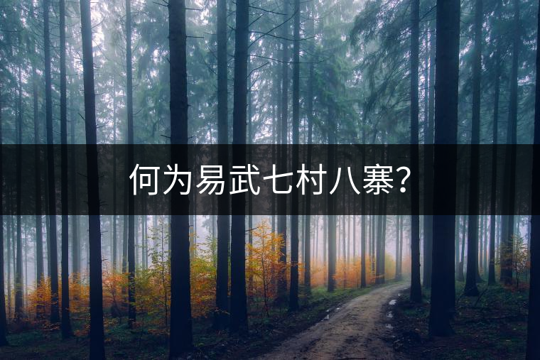 何為易武七村八寨？
