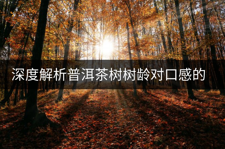 深度解析普洱茶樹樹齡對(duì)口感的影響