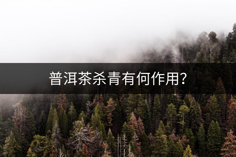 普洱茶殺青有何作用？