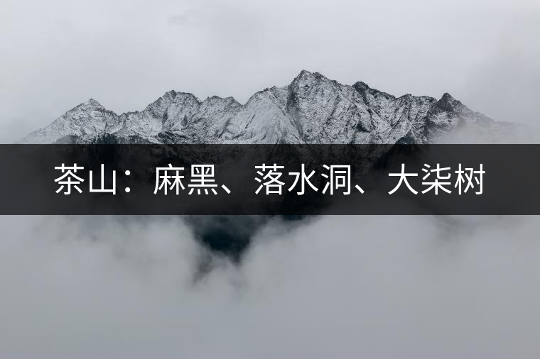 茶山：麻黑、落水洞、大柒樹