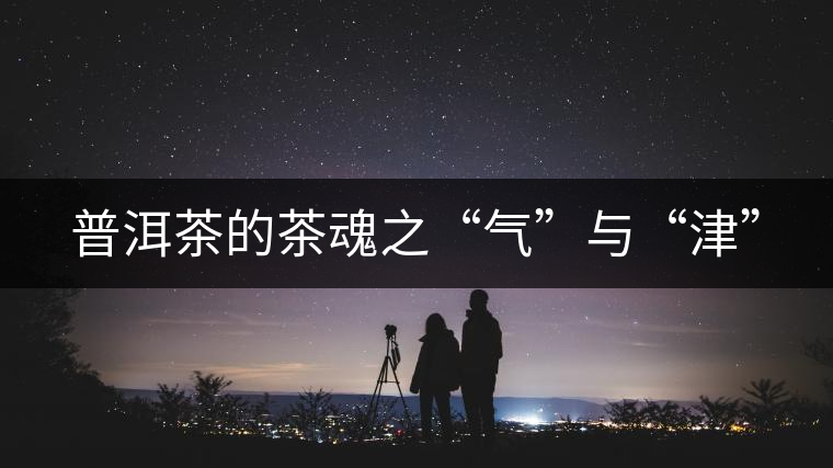 普洱茶的茶魂之“氣”與“津”