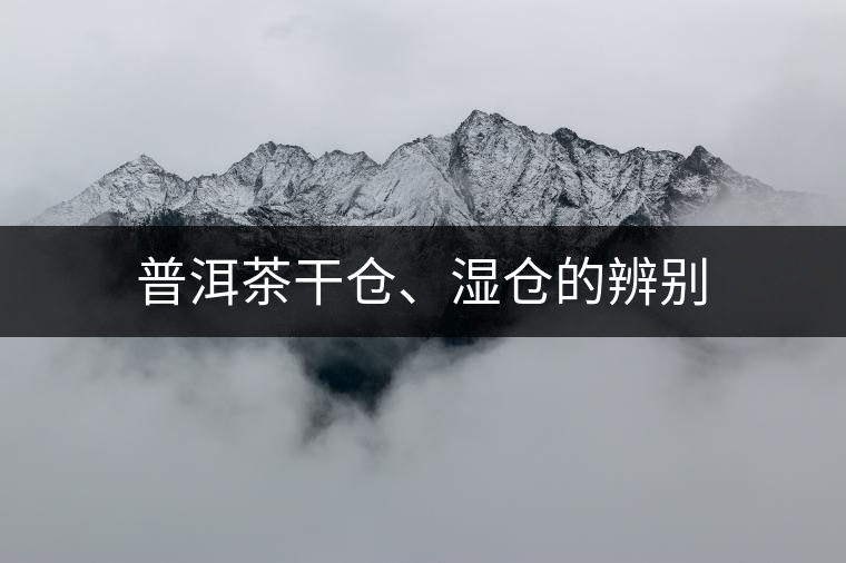 普洱茶干倉(cāng)、濕倉(cāng)的辨別