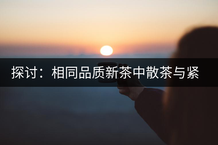 探討：相同品質(zhì)新茶中散茶與緊壓茶哪個好？