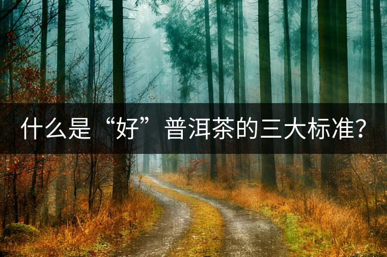 什么是“好”普洱茶的三大標準？