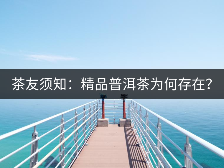茶友須知：精品普洱茶為何存在？