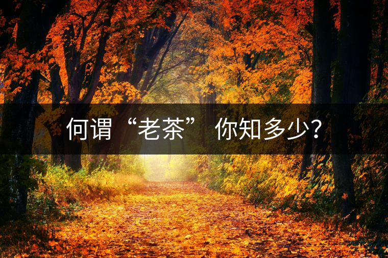 何謂“老茶” 你知多少？