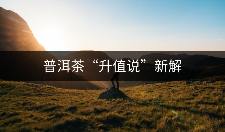 普洱茶“升值說”新解