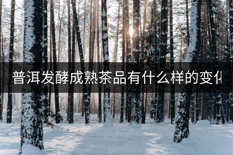 普洱發(fā)酵成熟茶品有什么樣的變化？