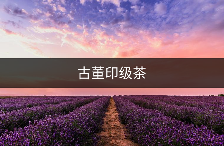 古董印級(jí)茶 古董印級(jí)茶