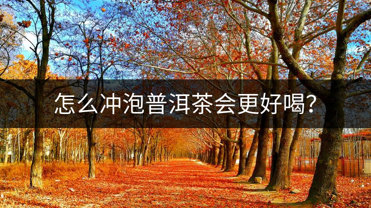 怎么沖泡普洱茶會更好喝？