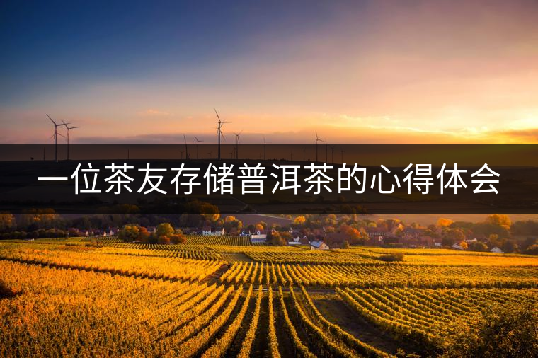 一位茶友存儲普洱茶的心得體會 一位茶友存儲普洱茶的心得體會
