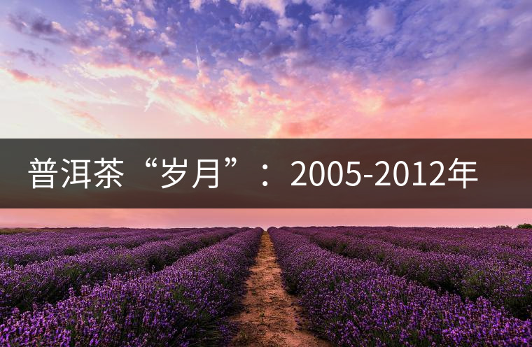 普洱茶“歲月”：2005-2012年間的茶