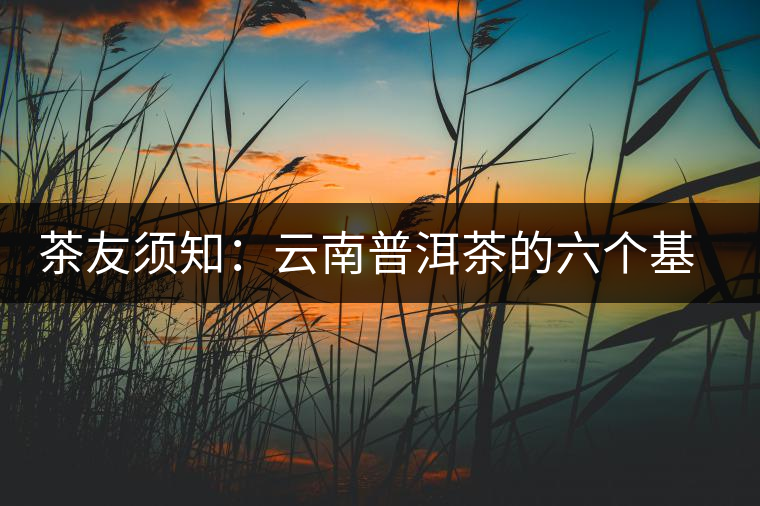 茶友須知：云南普洱茶的六個(gè)基本問題