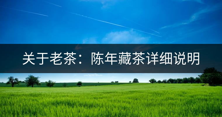 關(guān)于老茶:陳年藏茶詳細(xì)說明 關(guān)于老茶:陳年藏茶詳細(xì)說明