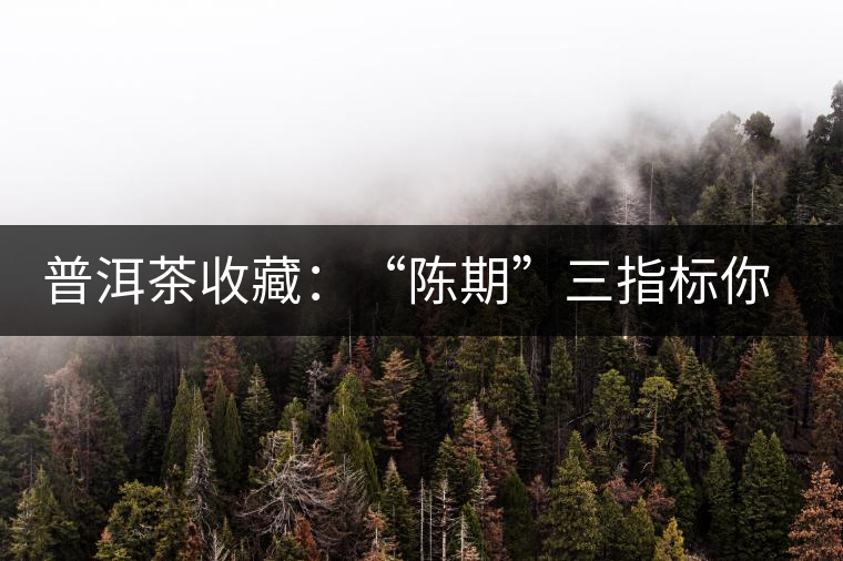 普洱茶收藏：“陳期”三指標(biāo)你知道嗎？