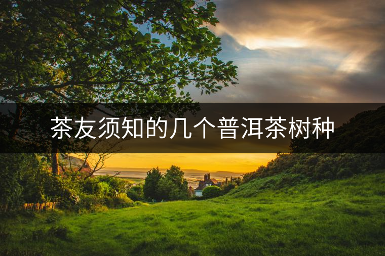 茶友須知的幾個(gè)普洱茶樹(shù)種 茶友須知的幾個(gè)普洱茶樹(shù)種