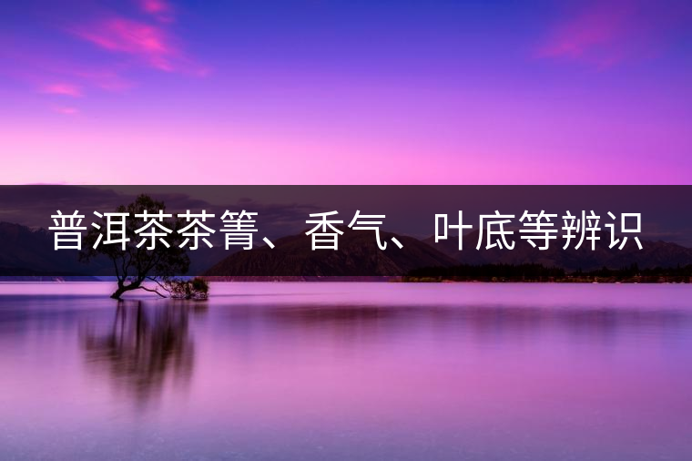 普洱茶茶箐、香氣、葉底等辨識