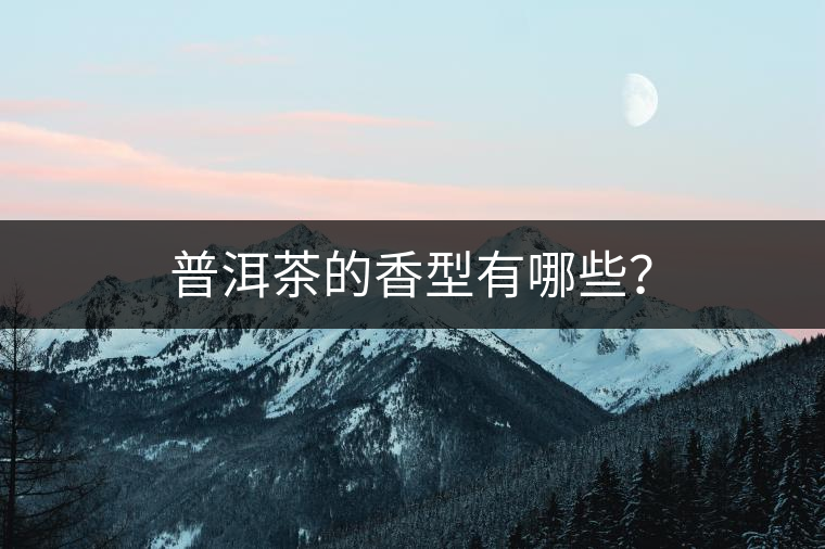 普洱茶的香型有哪些？