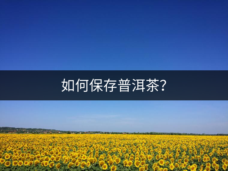 如何保存普洱茶？