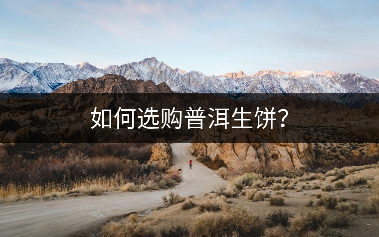 如何選購普洱生餅？