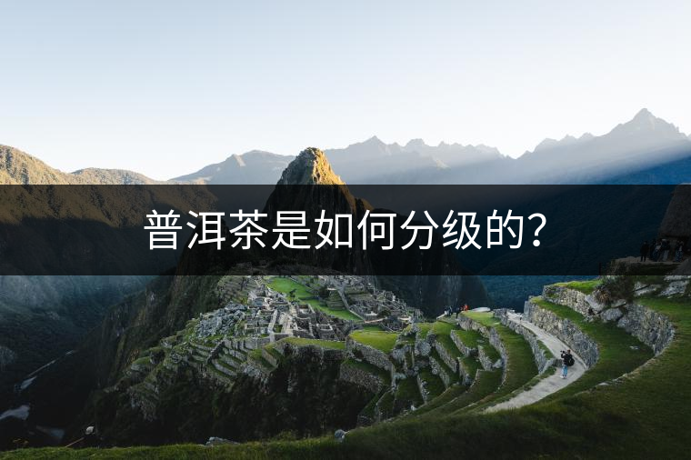 普洱茶是如何分級(jí)的？
