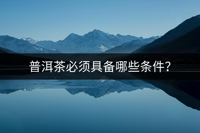 普洱茶必須具備哪些條件？