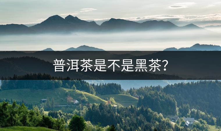 普洱茶是不是黑茶？