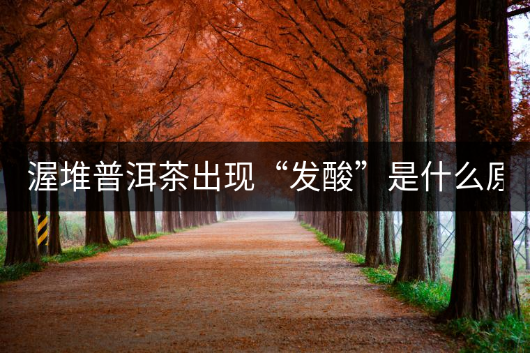 渥堆普洱茶出現(xiàn)“發(fā)酸”是什么原因？