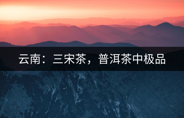 云南：三宋茶，普洱茶中極品