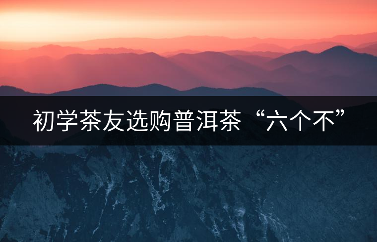 初學茶友選購普洱茶“六個不”