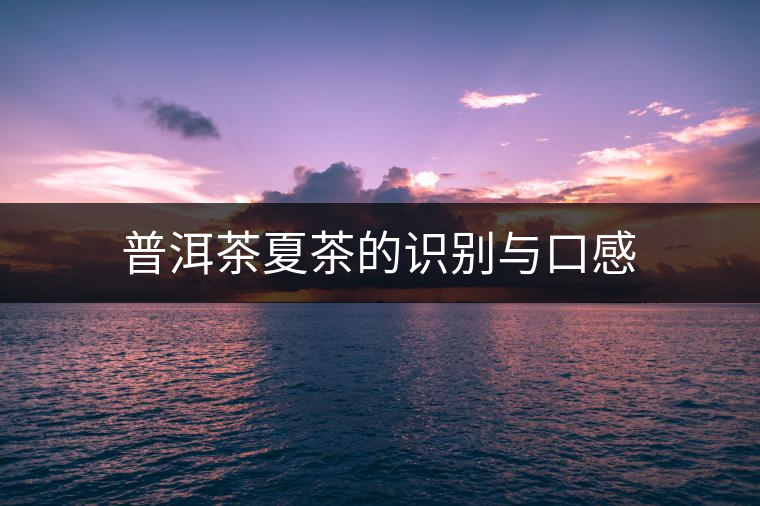 普洱茶夏茶的識(shí)別與口感 普洱茶夏茶的識(shí)別與口感