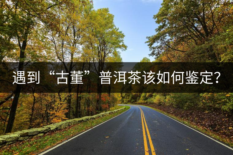 遇到“古董”普洱茶該如何鑒定？