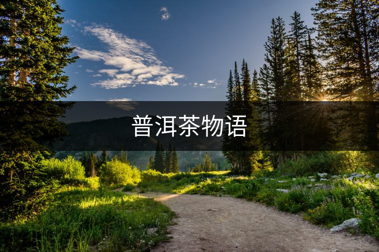 普洱茶物語(yǔ)