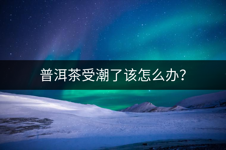 普洱茶受潮了該怎么辦？