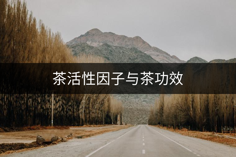 茶活性因子與茶功效