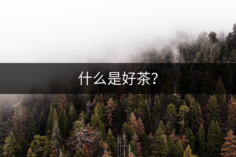 什么是好茶？