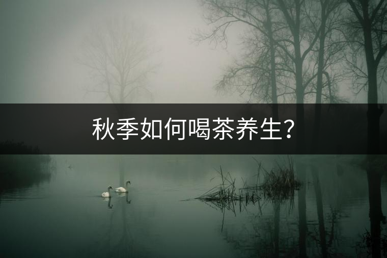 秋季如何喝茶養(yǎng)生？