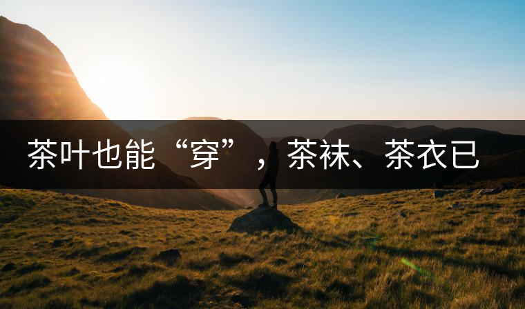 茶葉也能“穿”，茶襪、茶衣已進(jìn)入研發(fā)階段