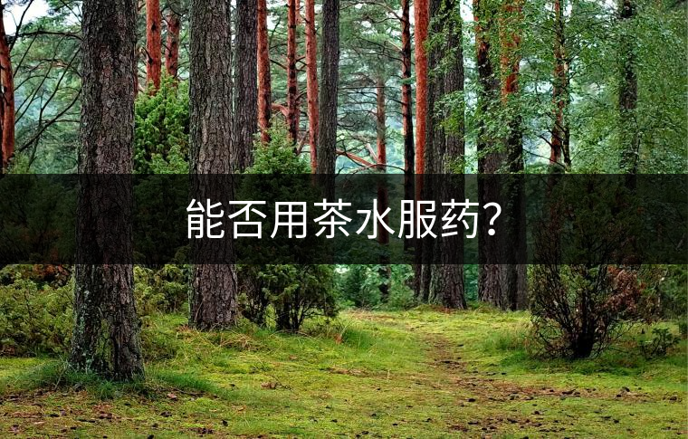 能否用茶水服藥？