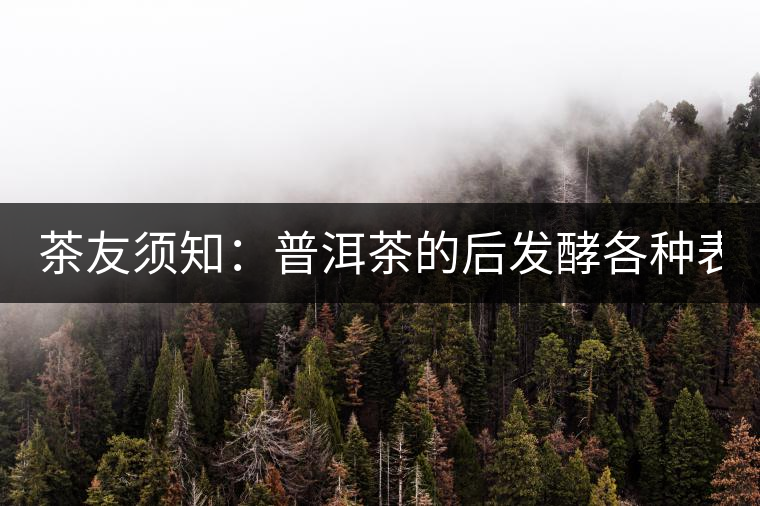 茶友須知：普洱茶的后發(fā)酵各種表現(xiàn) 喝普洱有益健康的奧妙所在！