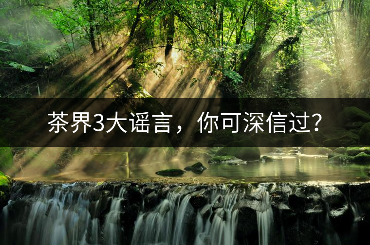 茶界3大謠言，你可深信過？