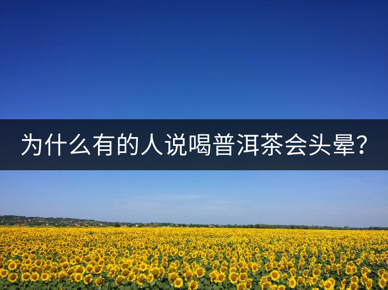 為什么有的人說(shuō)喝普洱茶會(huì)頭暈？