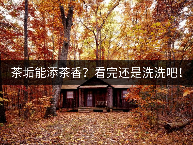 茶垢能添茶香？看完還是洗洗吧！