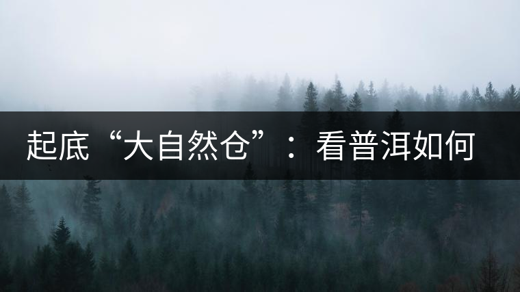 起底“大自然倉”：看普洱如何塑造倉儲(chǔ)新高地